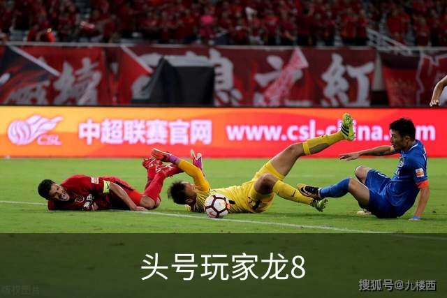 头号玩家龙8